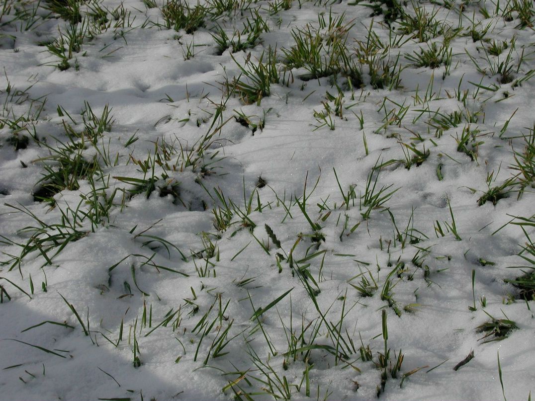 Надежда Иванова | Москва