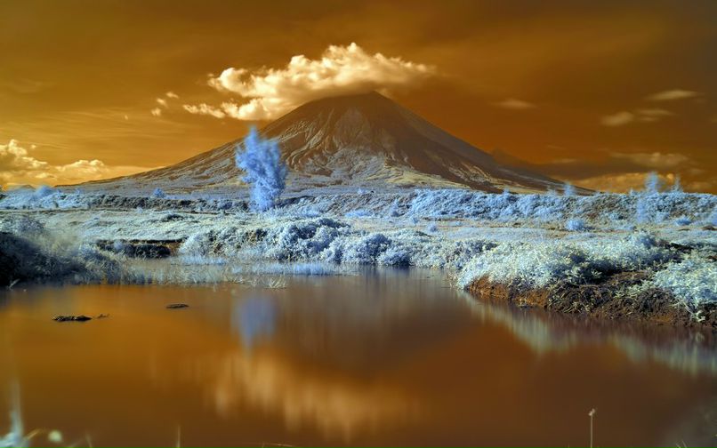 Roman Rudnizki | Львов