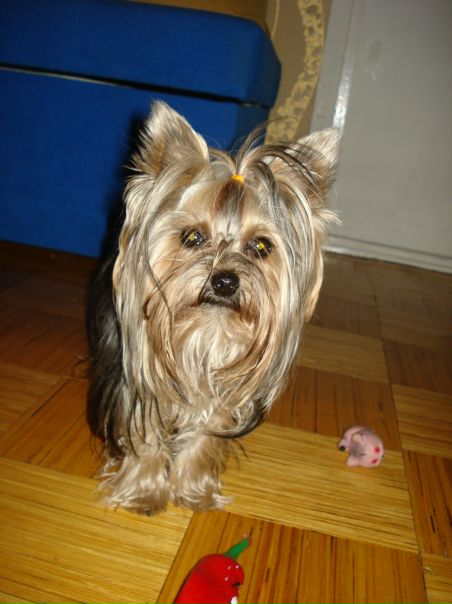 №33, Anna Plutahhina, 41 год, Таллин №33, Anna Plutahhina, 41 год, Таллин