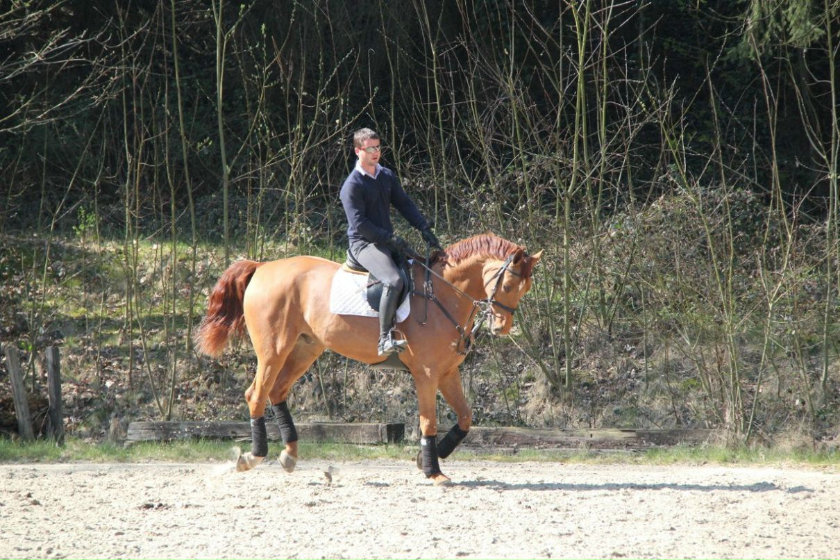 Надежда Седакова | Раменское