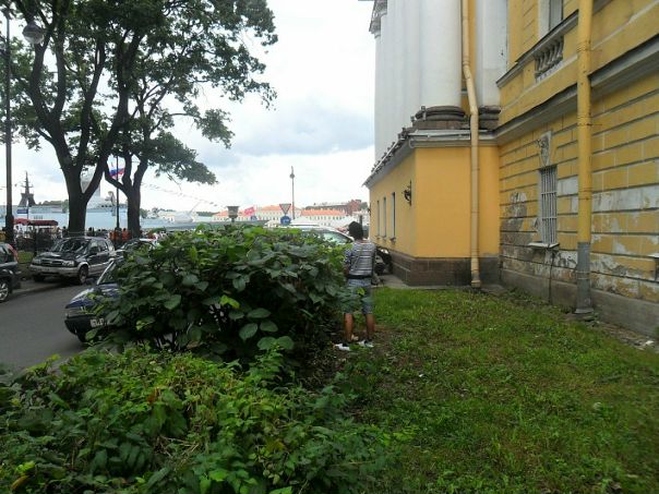 №103, Саша Шорохов, Санкт-Петербург №103, Саша Шорохов, Санкт-Петербург