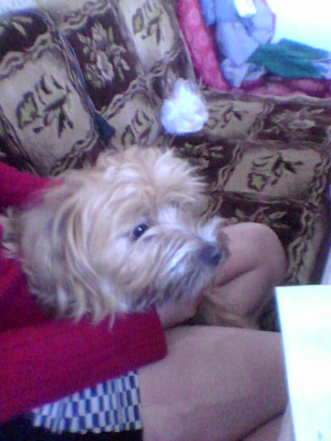 Дарья Климова | Осьмино