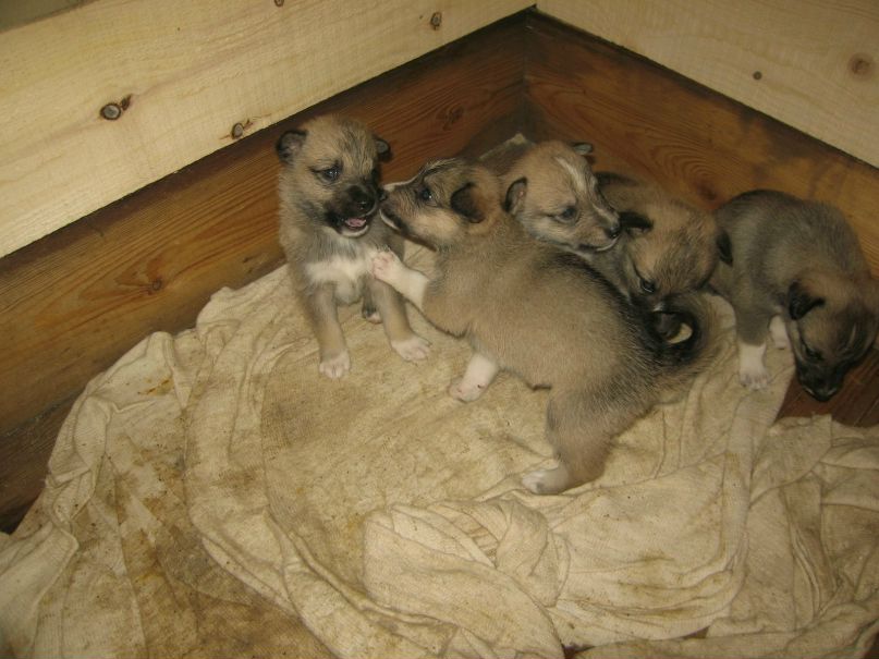 Екатерина Быкова | Кемерово