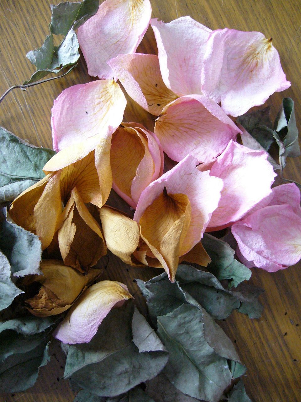 Ангел Владимирович | 