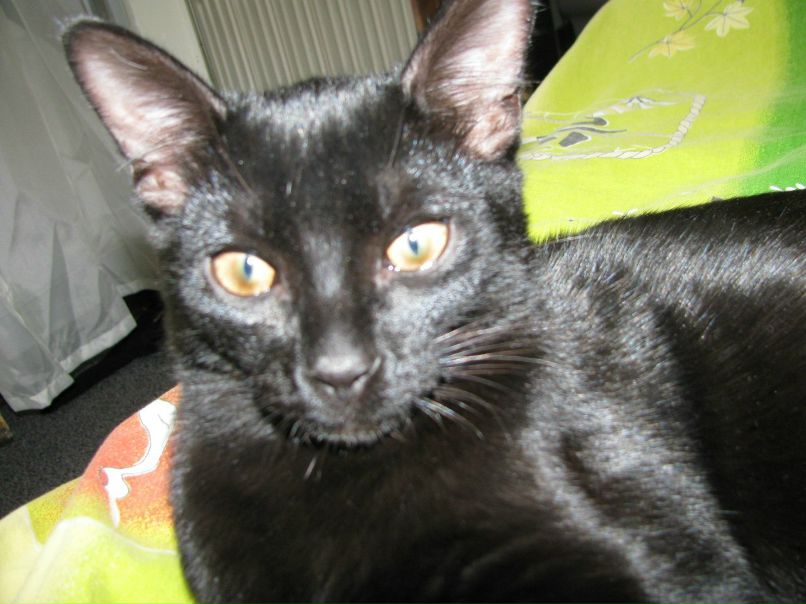 Svet Lana | Костомукша