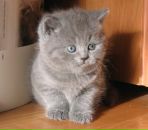 №15 Любовь Курманбакеева 24.08.1987: профиль, фото, статус - ВКонтакте №15 Любовь Курманбакеева 24.08.1987: профиль, фото, статус - ВКонтакте