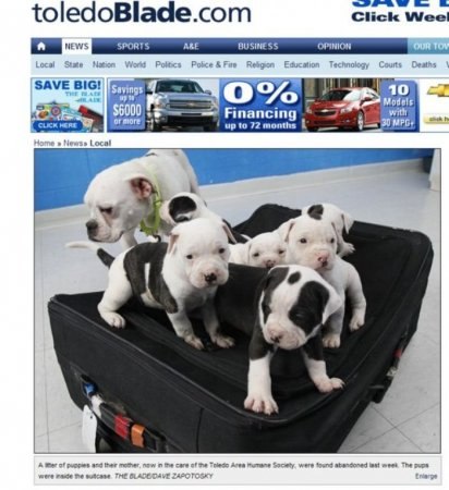 №75, Денис Зубов, Трефиловка, Россия №75, Денис Зубов, Трефиловка, Россия