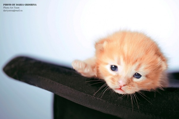 №109, Anya Seeva, Москва №109, Anya Seeva, Москва