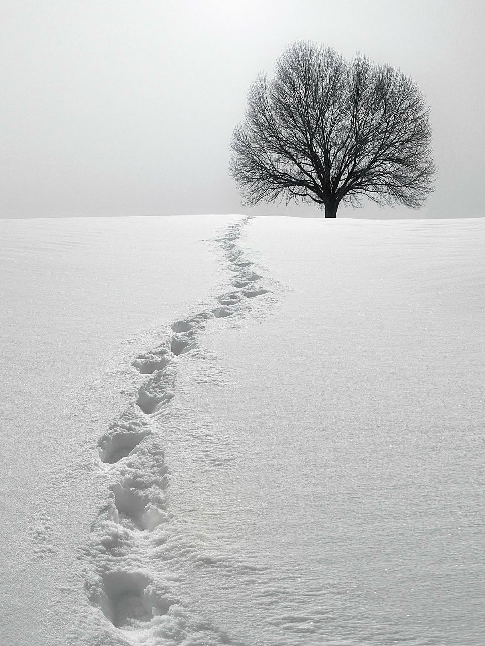 Фред Иванов | Санкт-Петербург