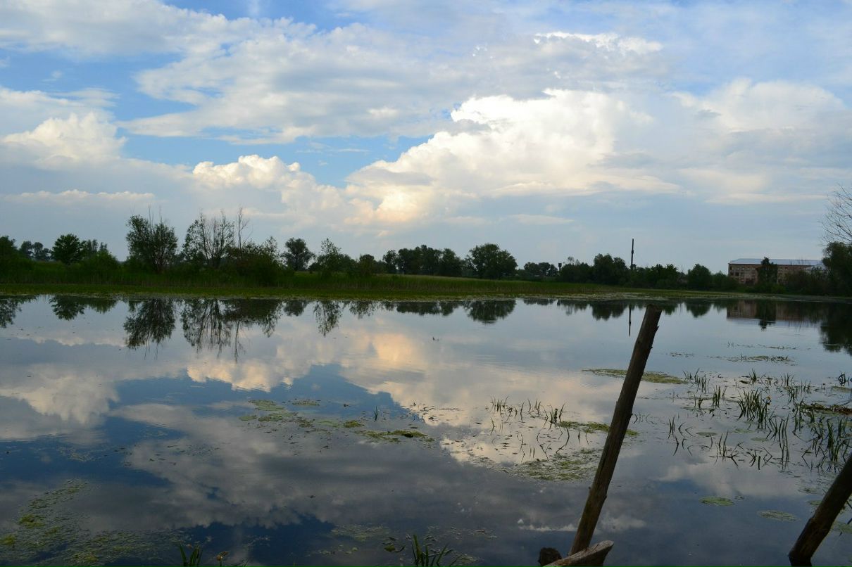 Алексей Марковский | Новосибирск