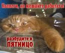 Фотография Финес Флин