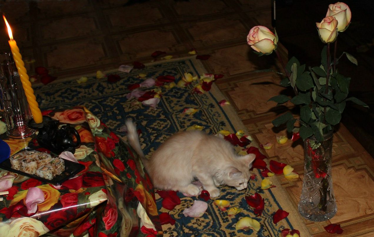 Виталий Есипов GLoKK | Самара