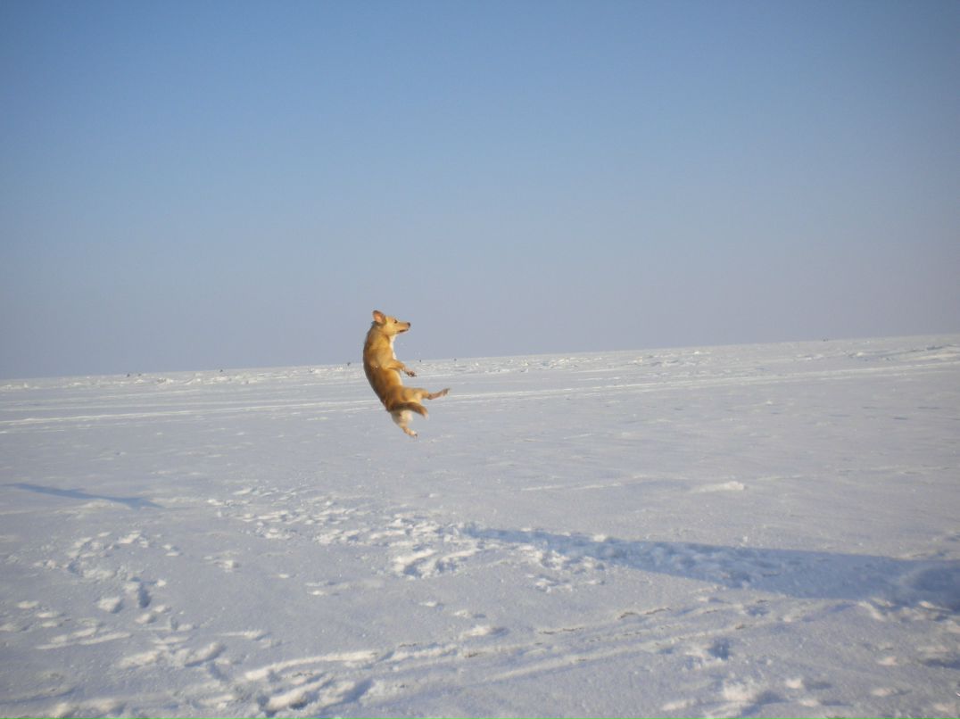 Надежда Мания | Санкт-Петербург