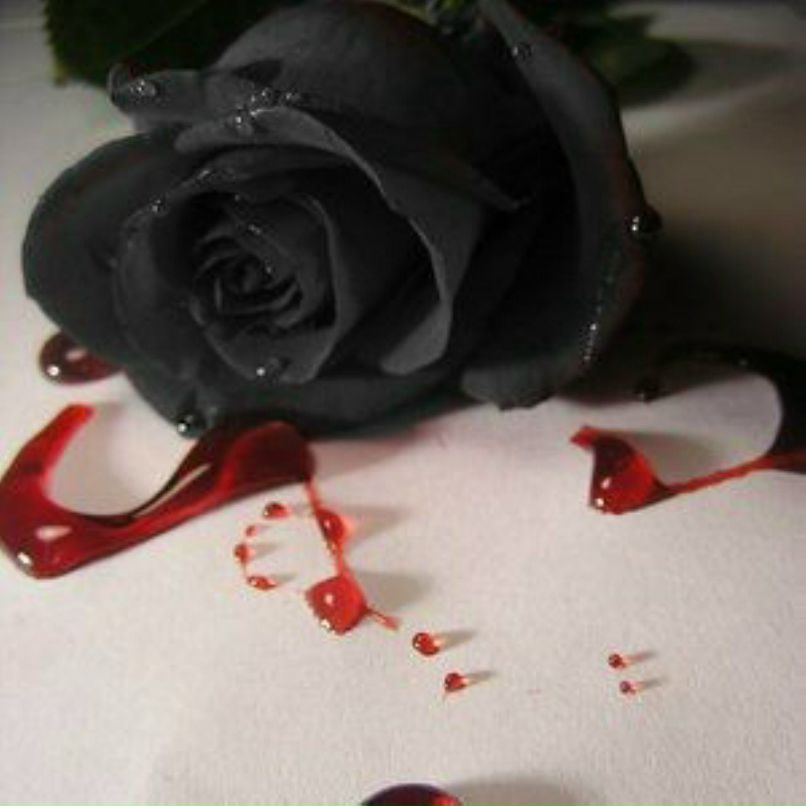 Оксана Труханова | Москва