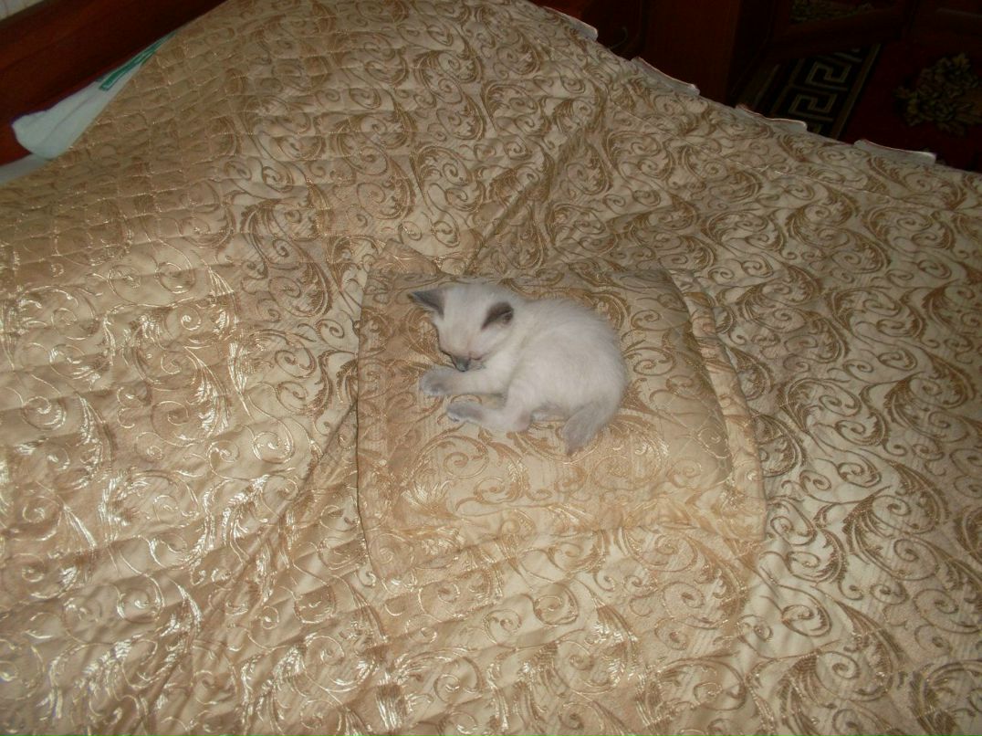 Наталья Апполинарьева | Валдай