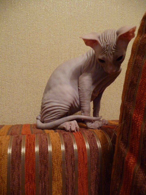 Елена Подгорная | Хабаровск