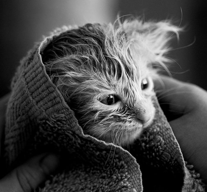 Ольга Крылова | Москва