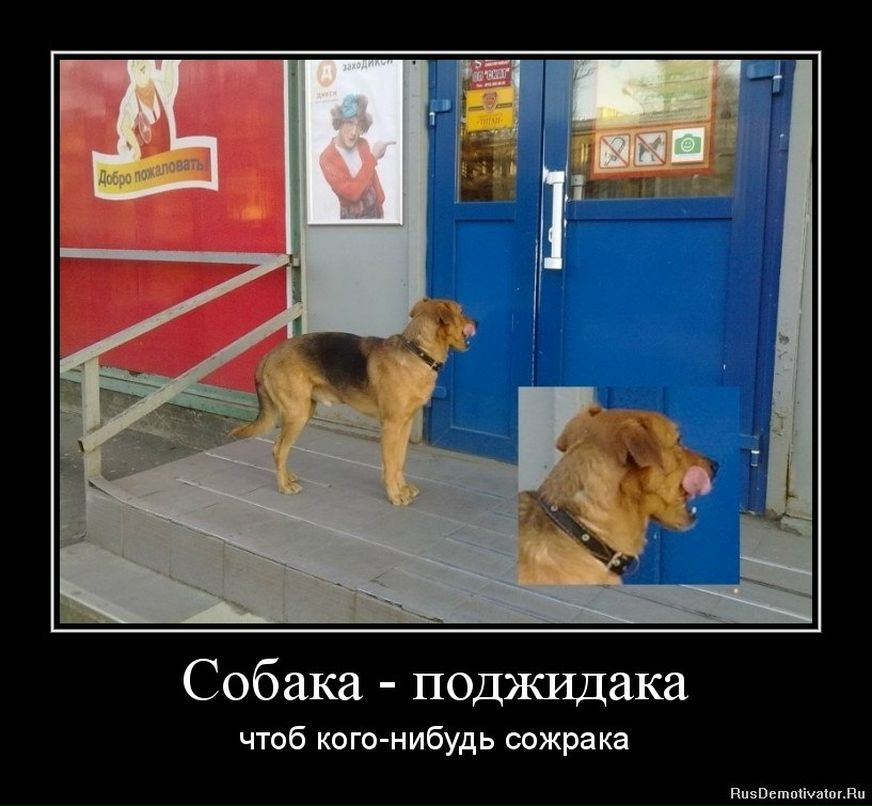 Андрей Лефутуренко | Киев