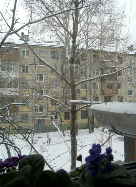 №6, Надежда Терещенко №6, Надежда Терещенко