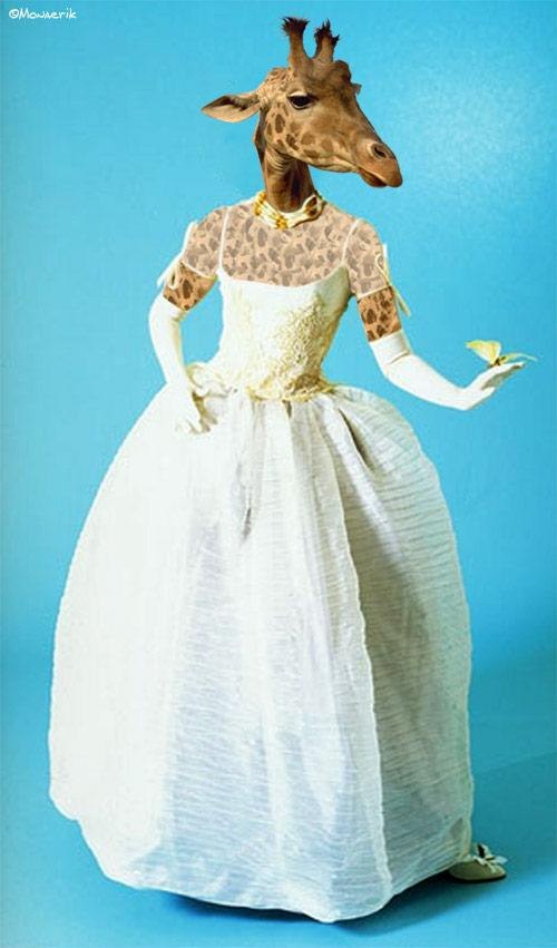 Марина Шмидт | Новосибирск