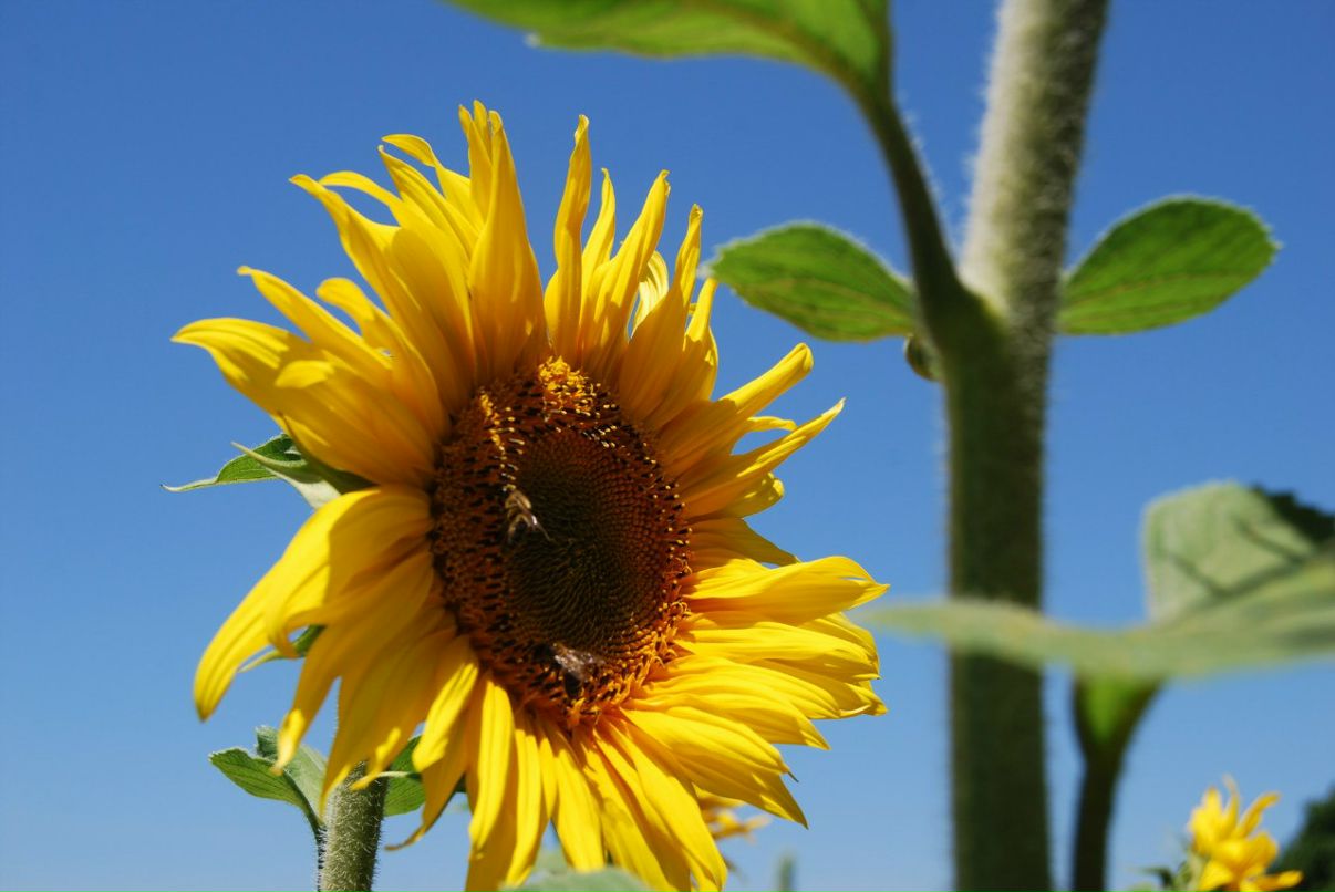 Оля Панина | Москва