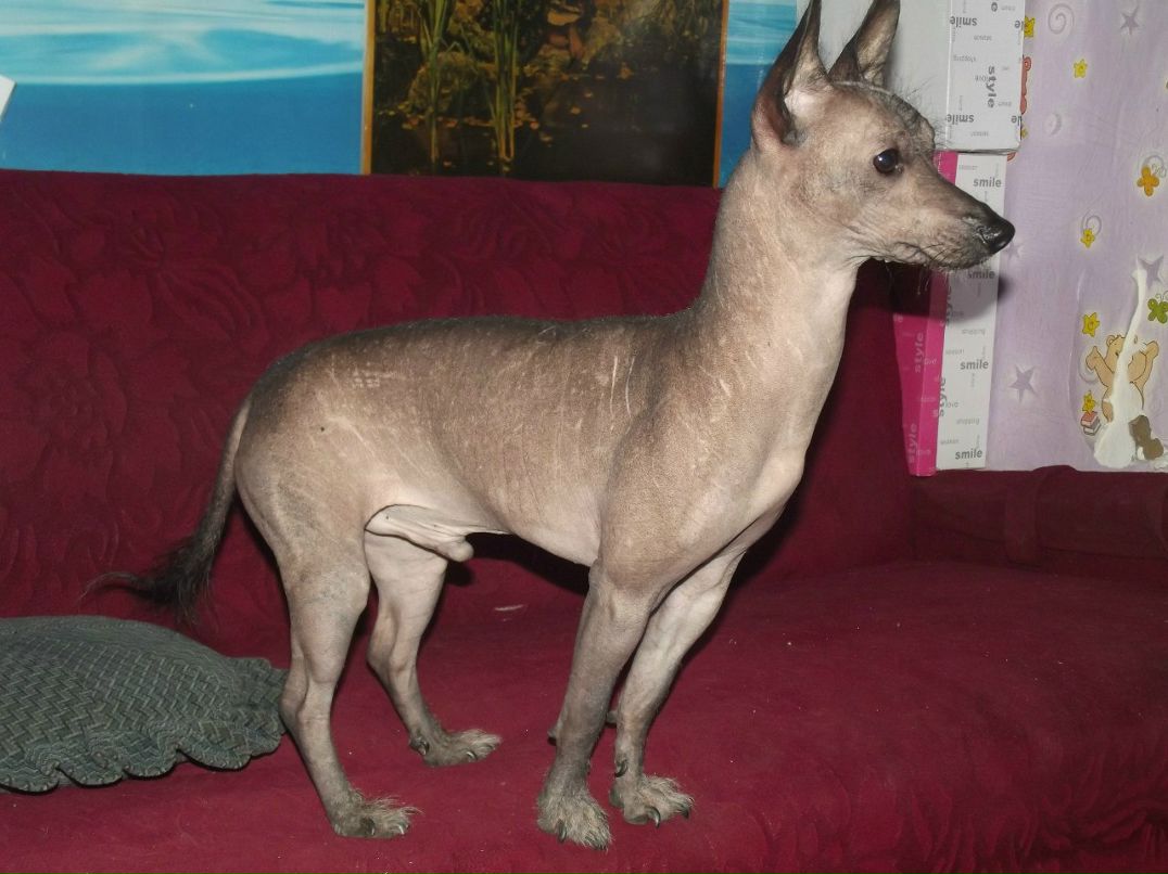 Константин Горобец | Новосибирск