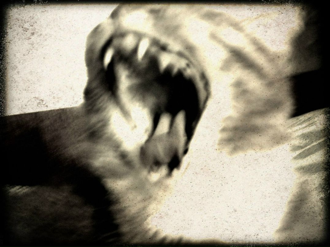 Katty Cruel † | Москва