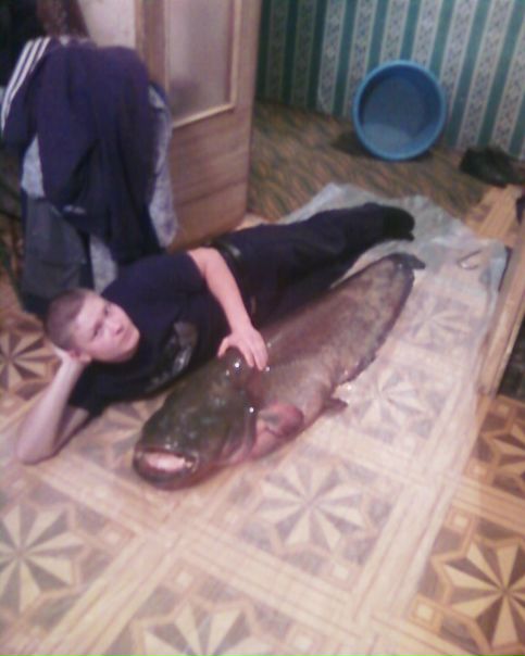 №3, Максим Пальчунов №3, Максим Пальчунов