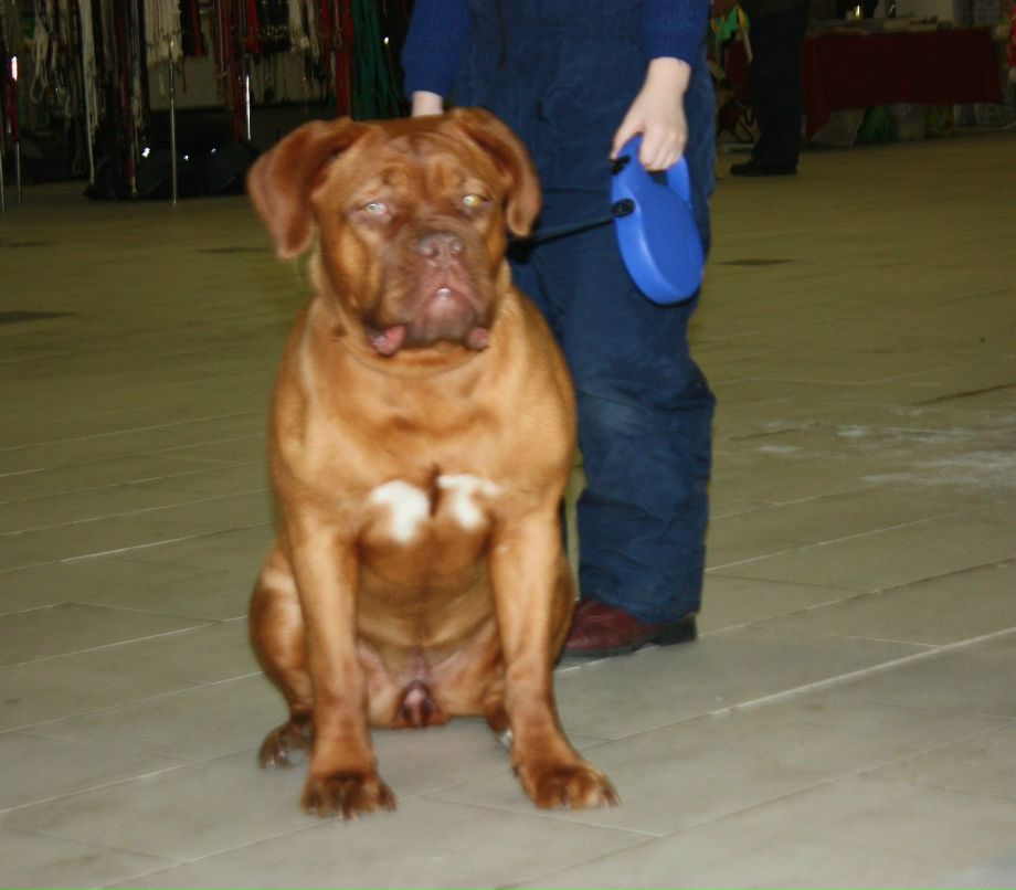 Екатерина Иванова | Санкт-Петербург