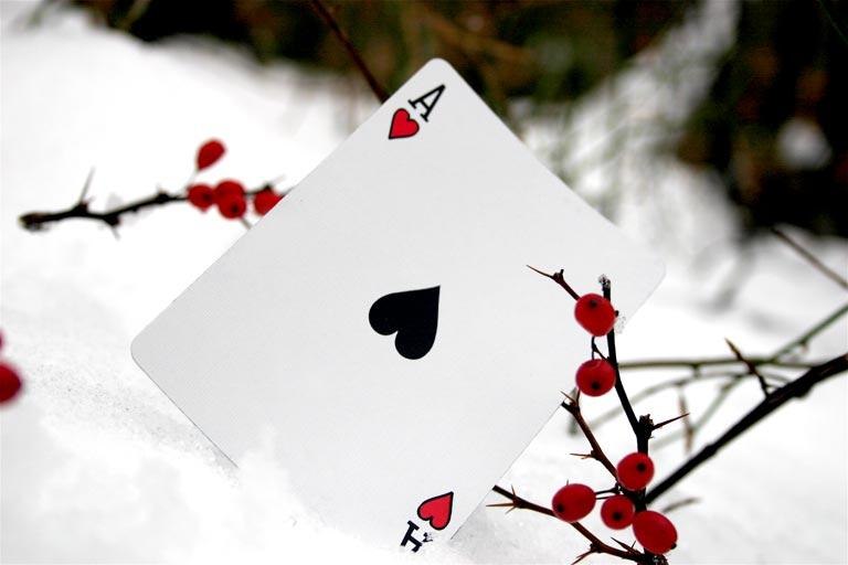 Елена Кирий | Киев