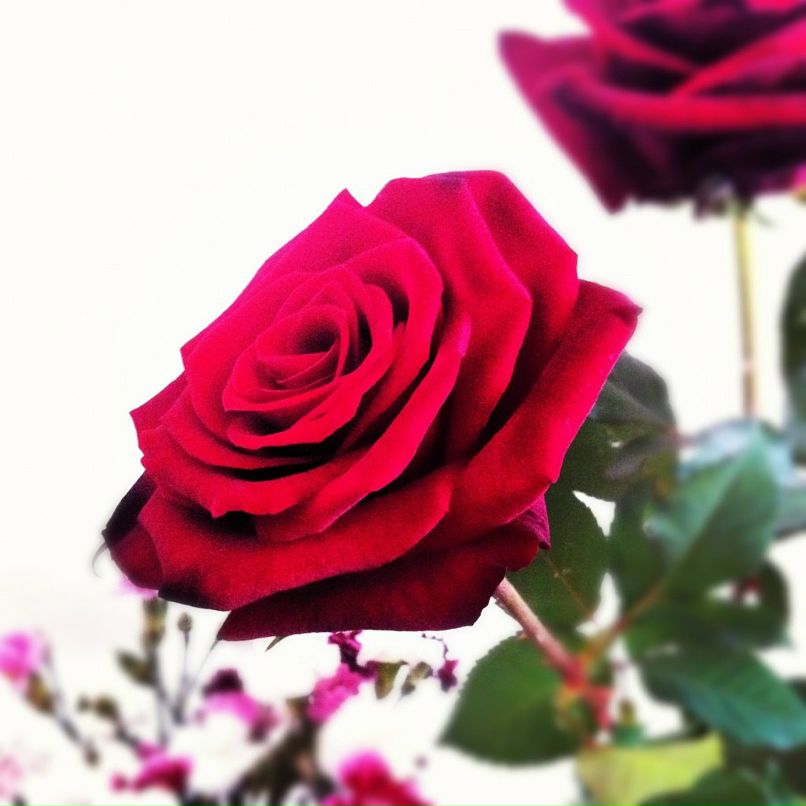 Нина Петрухина | Москва