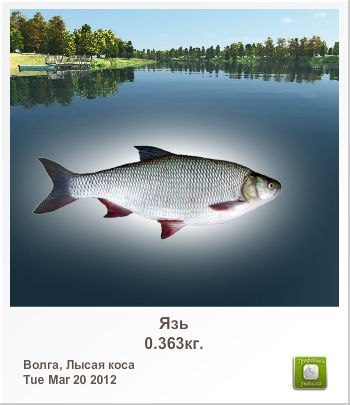 Александр Безденежных | Екатеринбург