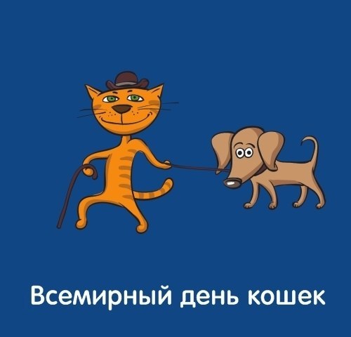 Анастасия Глушкова | Орск