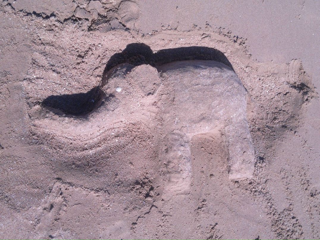 Ольга Колесникова | Санкт-Петербург