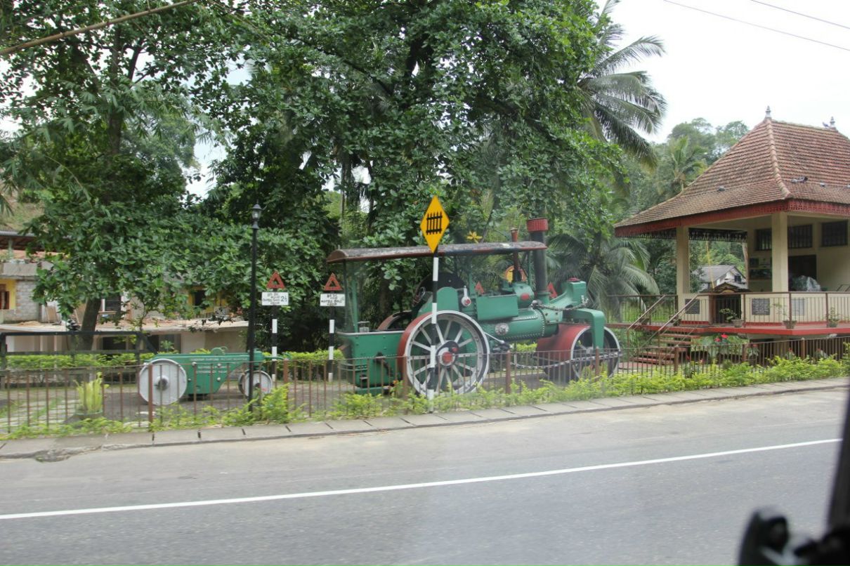 Nelli Drobot | Киев