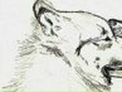 Алина Тычина | Бобруйск