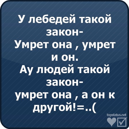 №142, Эдуард Гадельшин, Южное №142, Эдуард Гадельшин, Южное