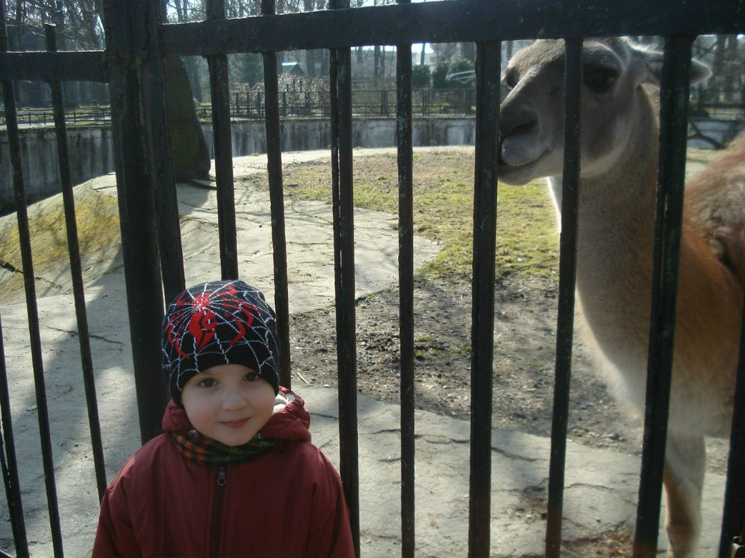 Иван Чемерко Карторис | Калининград