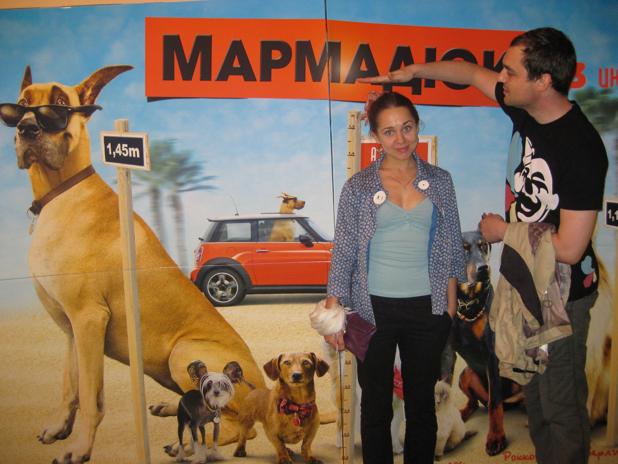 Фото профиля