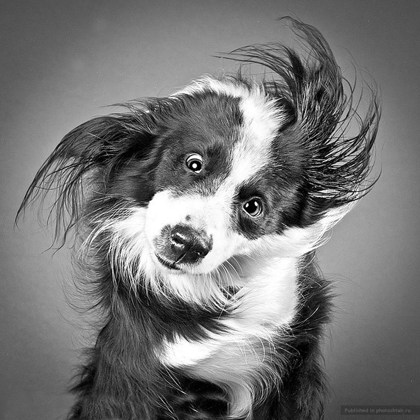 №23, Яночка Скорицкая, Москва №23, Яночка Скорицкая, Москва