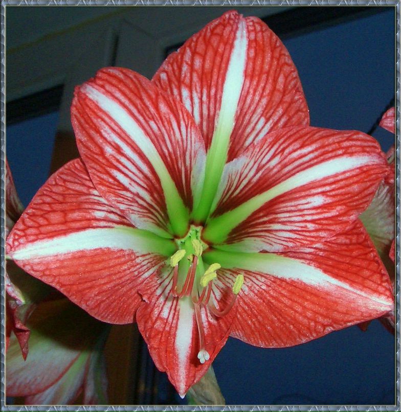 Юлия Заверская | Москва