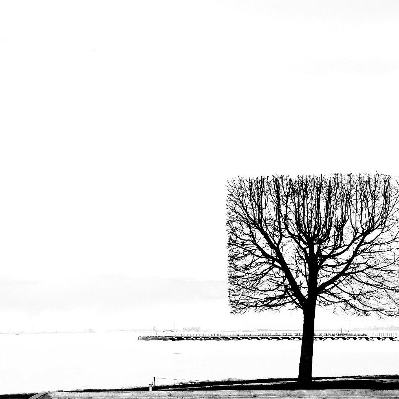 Елена Дубровина | Санкт-Петербург