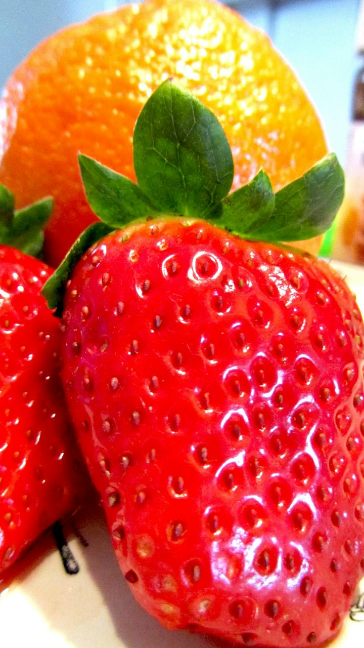 Нина Веденина-Меерсон | Санкт-Петербург