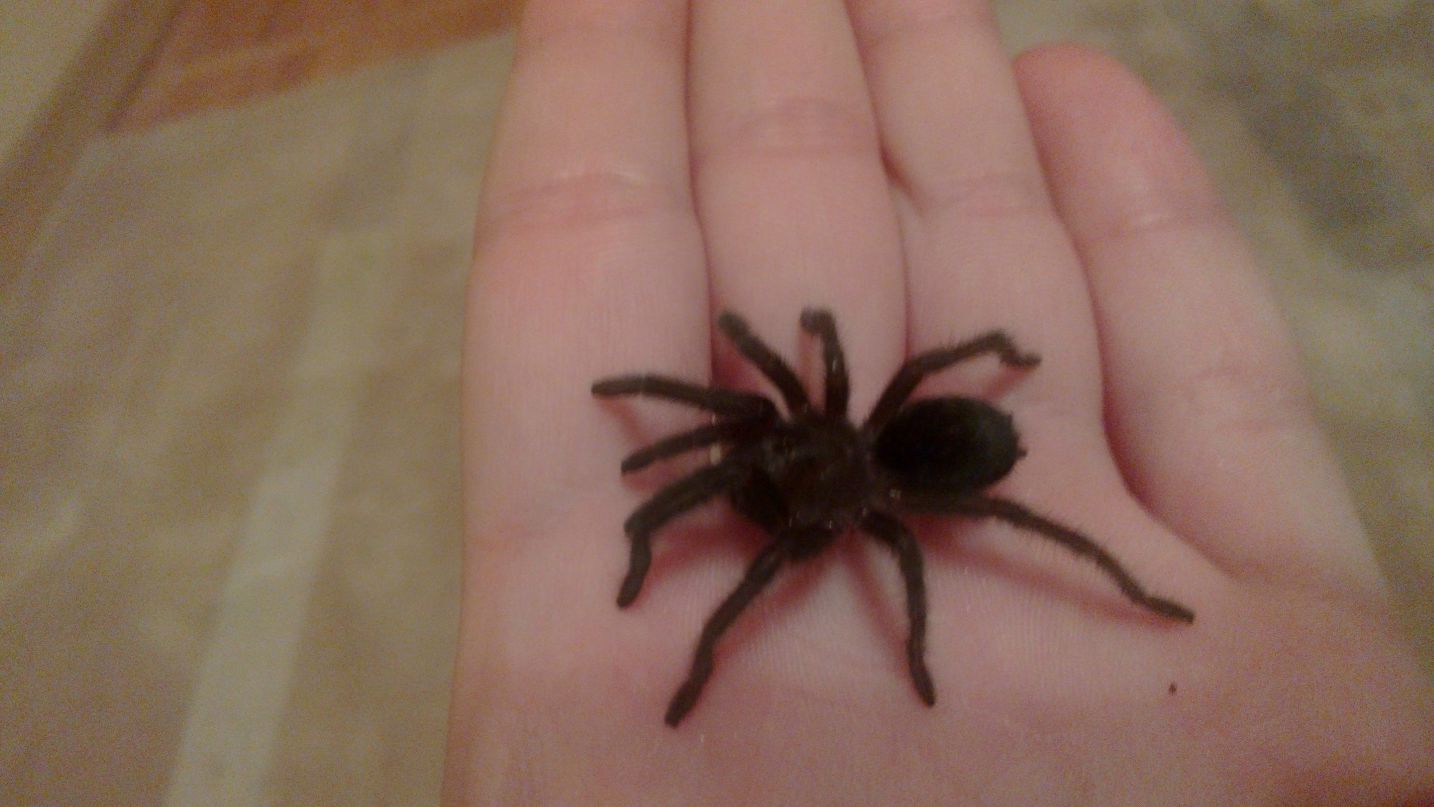 Евгений Климов | Москва