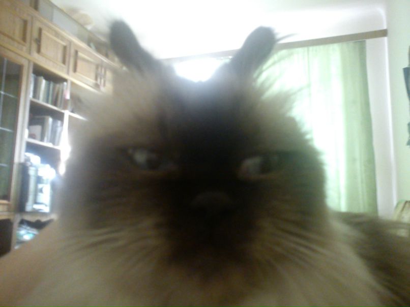 Ирина Дорошенко | Milano