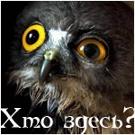 Николай Котов | Запорожье