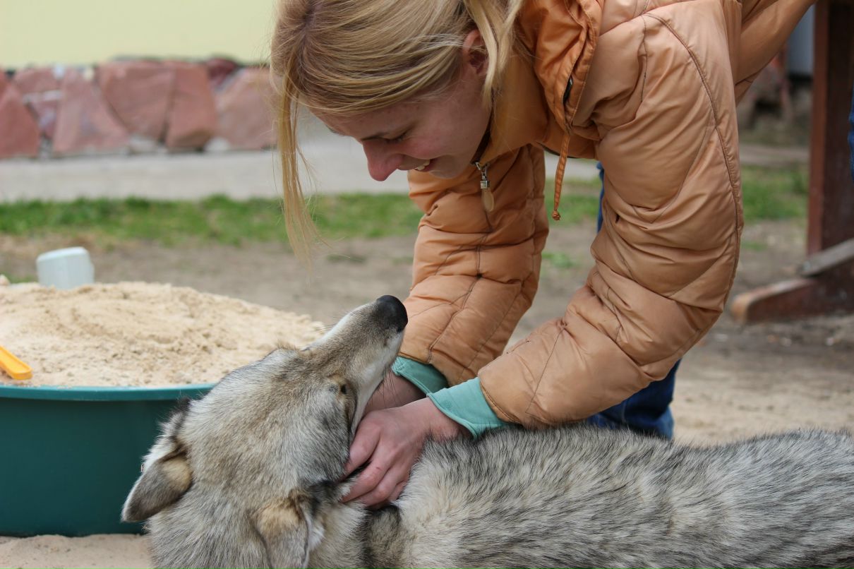 Наталья Синозацкая | Киев
