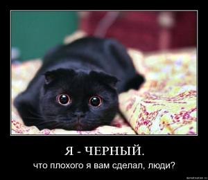 Оксана Собчук | Черкассы