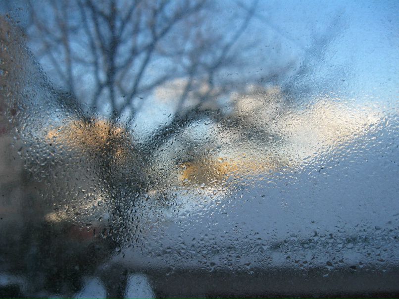 Лада Исмагилова | Москва