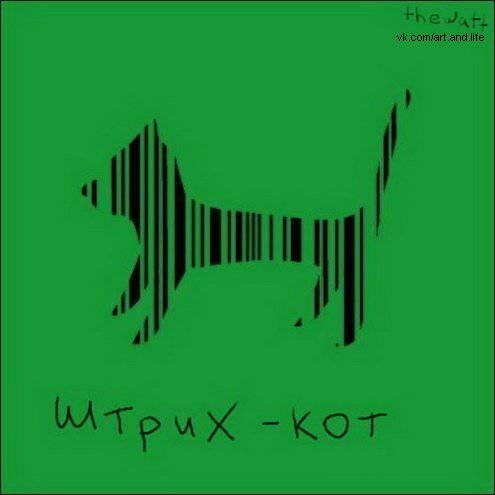 Анна Прокофьева | Санкт-Петербург